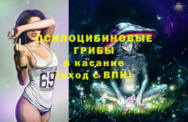 дурь Абаза