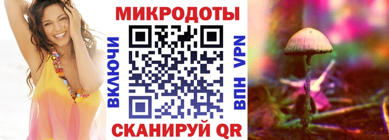 Псилоцибиновые грибы Cubensis  Зубцов 